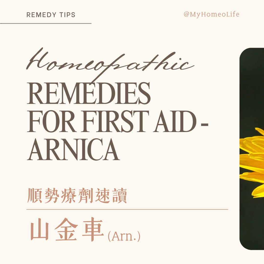 山金車 Arnica 順勢療法 homeopathy