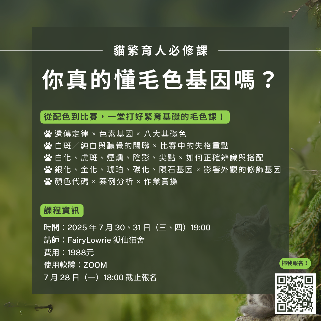 台灣WCF-業務承辦/賽事舉辦