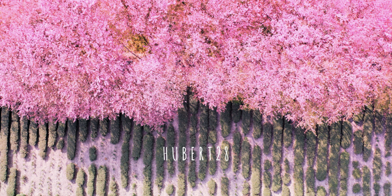 攝影師休伯特 我的網站