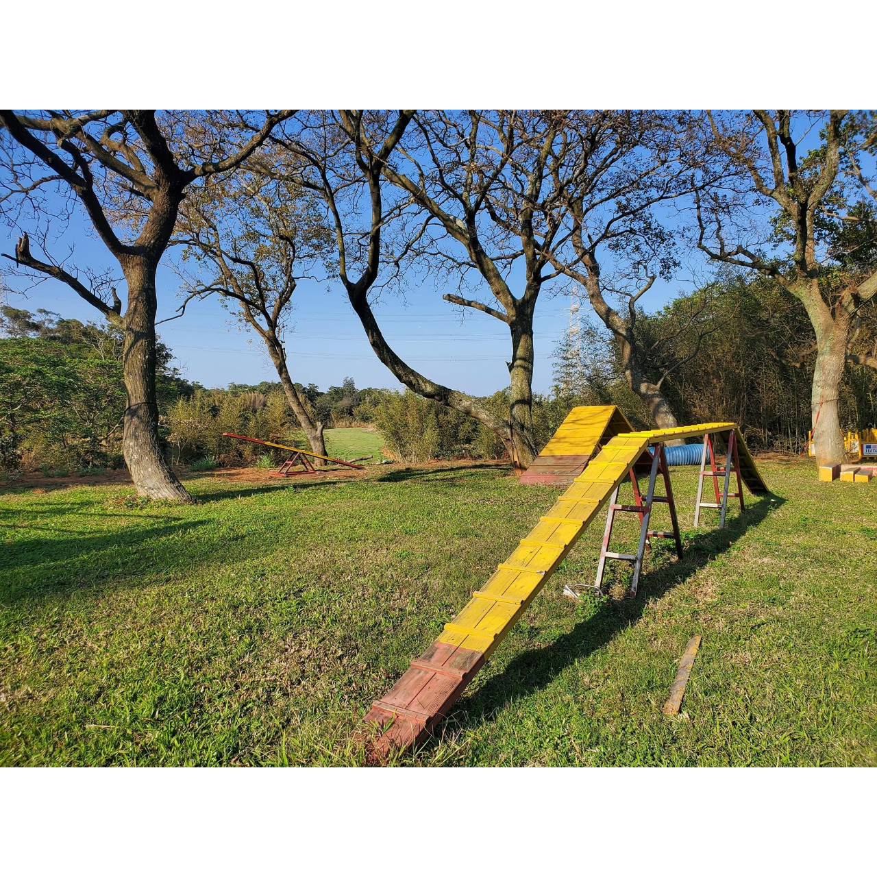 陳家班訓犬學校