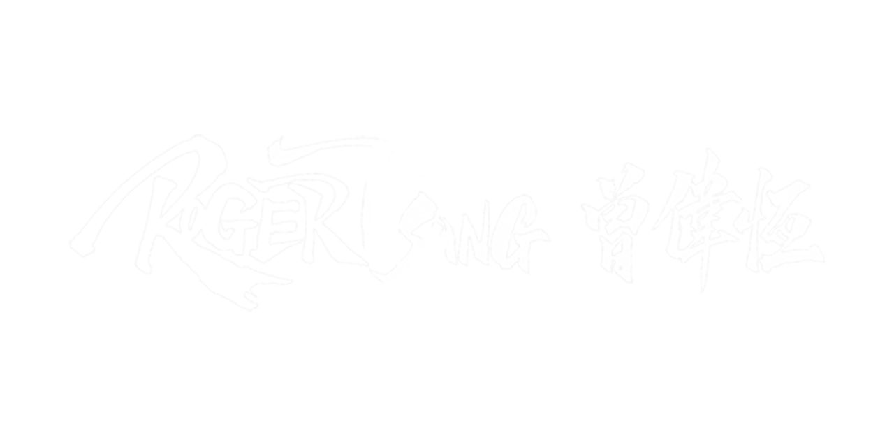 ROGER TSANG 超然專才顧問公司創辦人