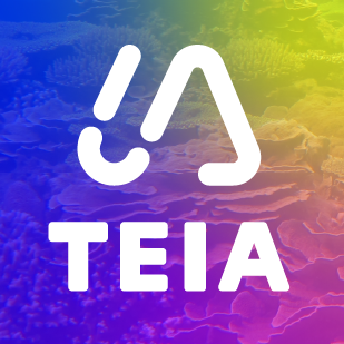 桃山神木｜撞到月亮的樹