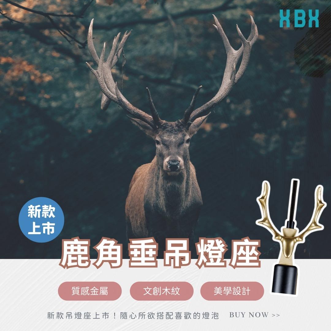 TDC帝宸企業 燈飾燈具販售 帝宸 垂吊燈座 E27 居家燈具 吊燈 現代簡約 質感設計 北歐風餐廳吊燈 美式古典鄉村風 鹿角 聖誕節送禮