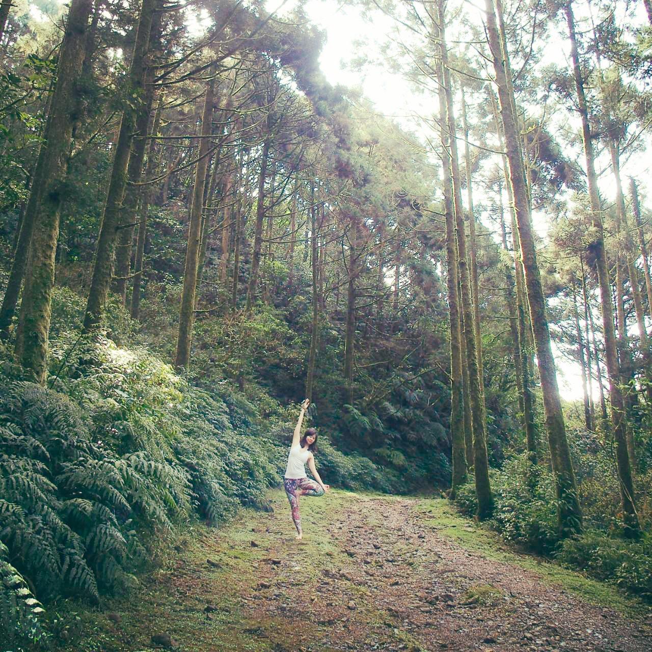 鹿徑晴朗・All the Wandering Lights