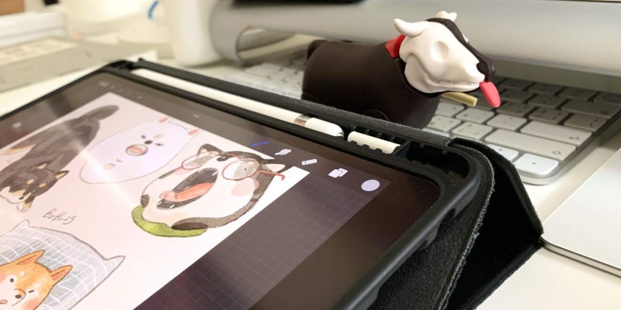 BirBir巧 【電繪要買什麼】iPad要怎麼選？老師用什麼工具畫圖呢？