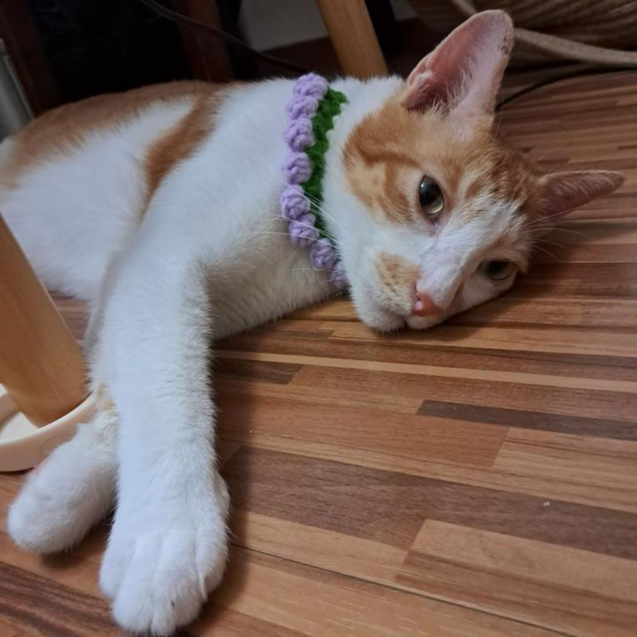 L's 客製化手工寵物項圈 – 讓愛寵更有型