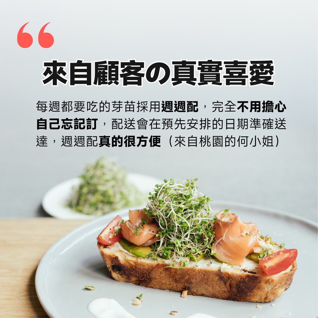 三日苗超級青花椰苗富含高濃度蘿蔔硫素，適合搭配年菜解膩加營養！