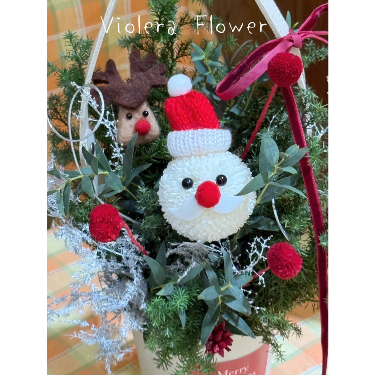 𝙑𝙄𝙊𝙇𝙀𝙍𝘼 𝙁𝙇𝙊𝙒𝙀𝙍