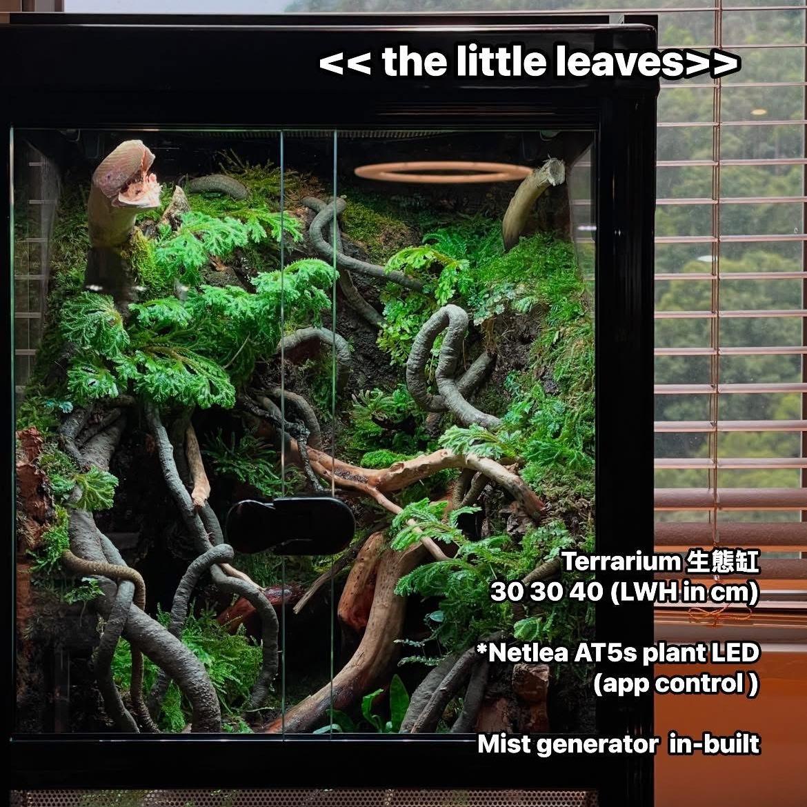 生態缸 爬蟲缸 水陸缸 寵物 螃蟹 熱帶魚