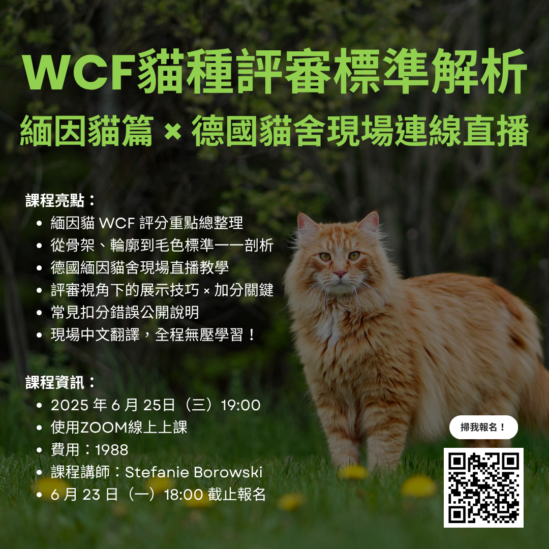 台灣WCF-業務承辦/賽事舉辦