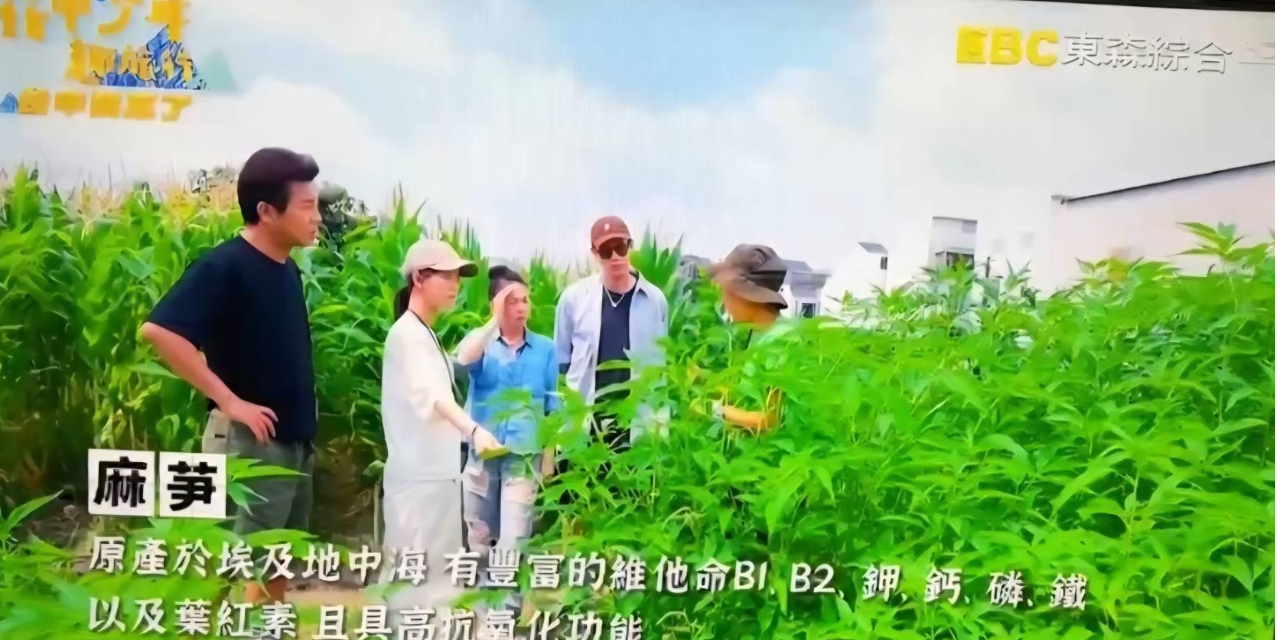 阿雞 東森電視｜花甲少年趣旅行