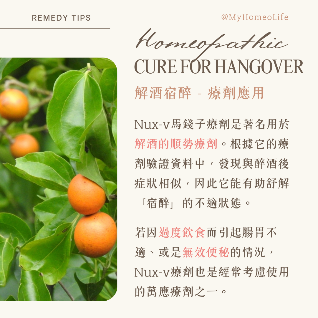 順勢療法 馬錢子 Nux-v  宿醉 解酒
