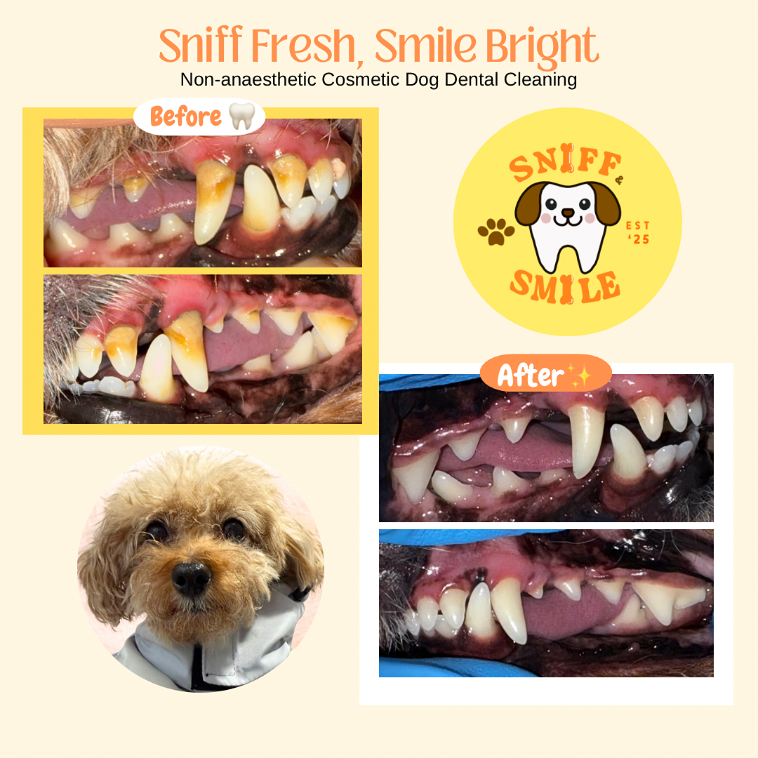 Sniff & Smile Age : 3