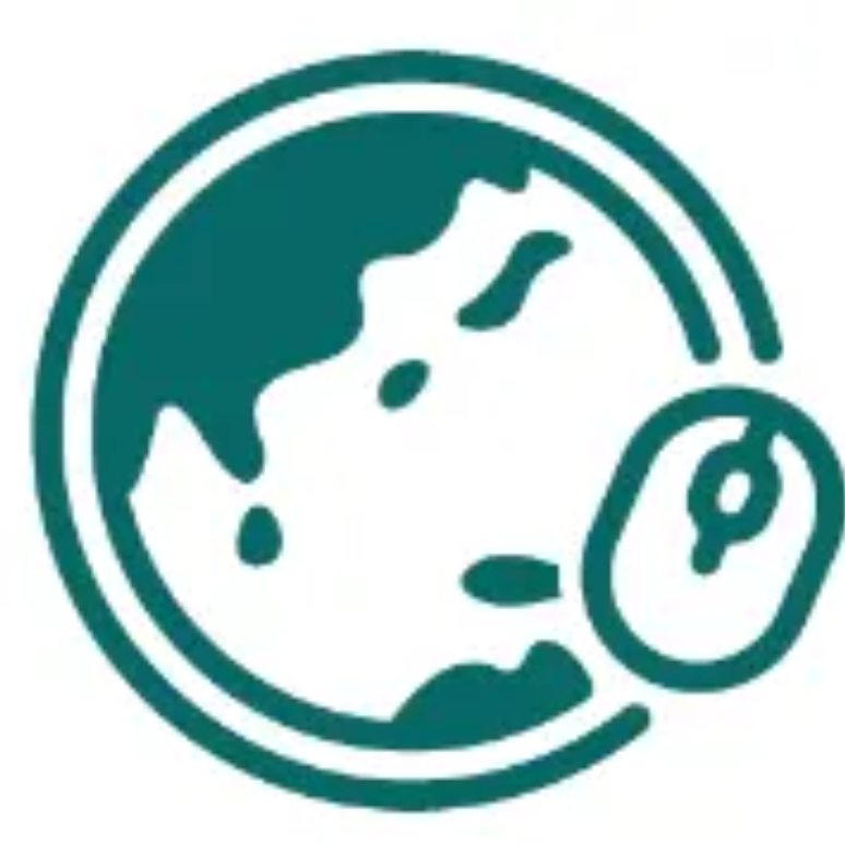 桃山神木｜撞到月亮的樹