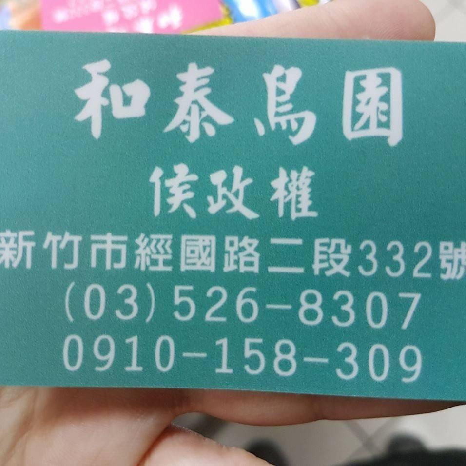 魚雁木坊│鸚鵡寄宿x站台玩具 和泰鳥園