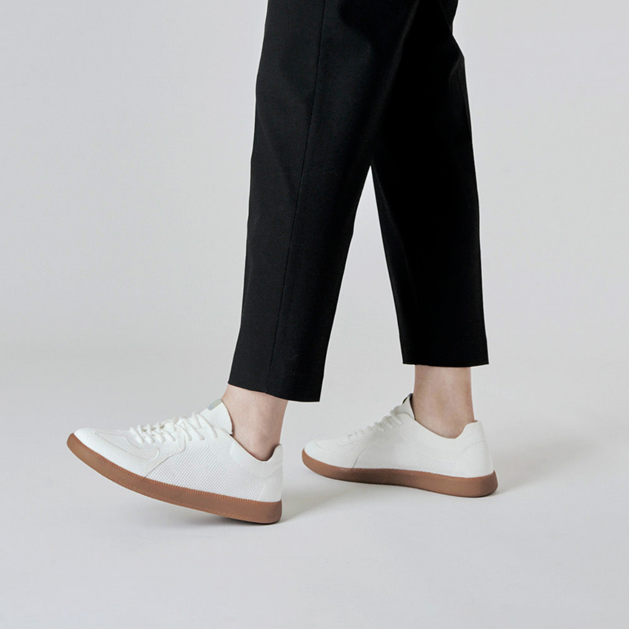 PROJEXT Papier GT 可機洗和紙德訓