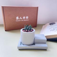 島人手作 仙人掌多肉DTY組盆 手作禮物