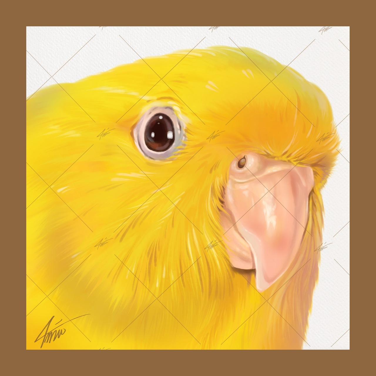 戴圍兜兜的貓 מּ ≋𝒞𝓵𝓪𝓾𝓭𝓲𝓪 𝓛𝓲𝓷 ৲ 4𝓶𝓾 ≋ 5000×5000，300dpi，jpg，RGB