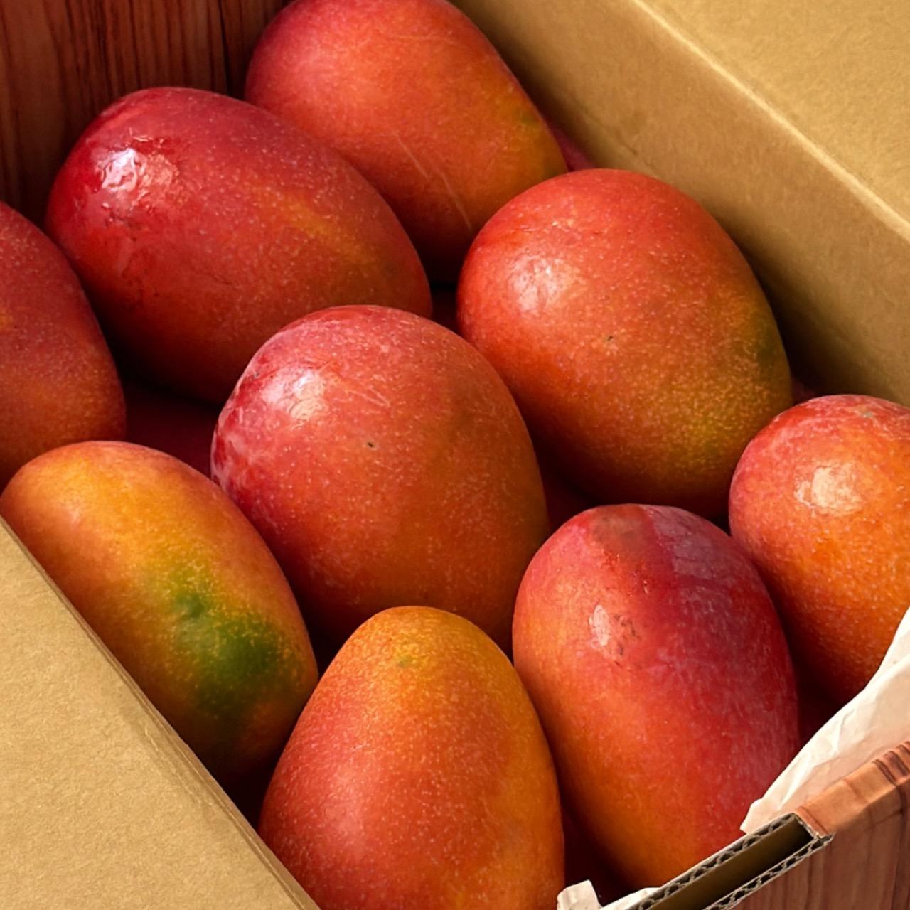 果子禮🥭屏東愛文芒果