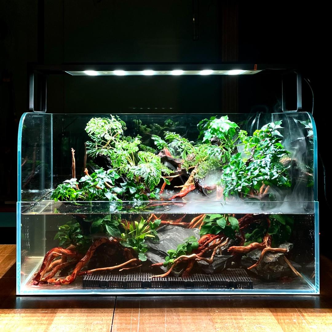MeP Lab