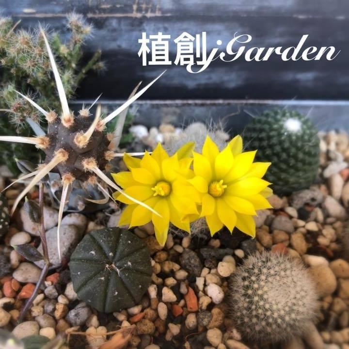 2025金門購物嘉年華