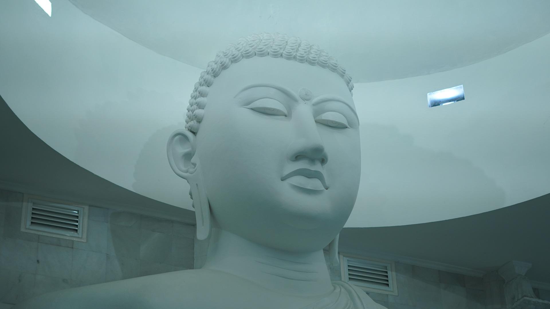 KuanShu｜寬恕 四諦的重見與重建