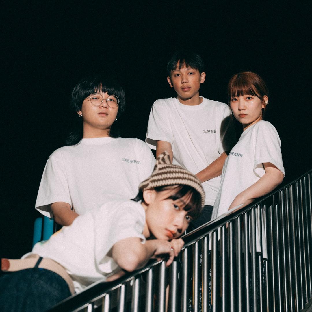 𝐌𝐢𝐤𝐚𝐧 𝐇𝐚𝐲𝐚𝐬𝐡𝐢 Lab No.3 T-shirt