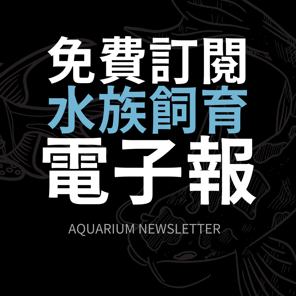 魚活通 Fish Activity Information 水族飼育電子報