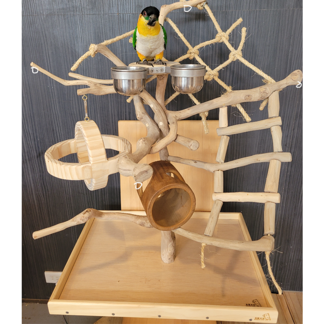 魚雁木坊│鸚鵡寄宿x站台玩具 訂製站台