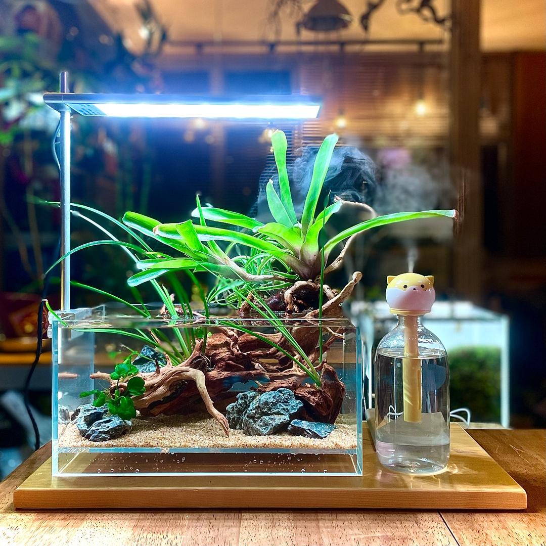 MeP Lab