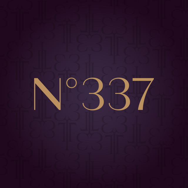 N°337同居約會
