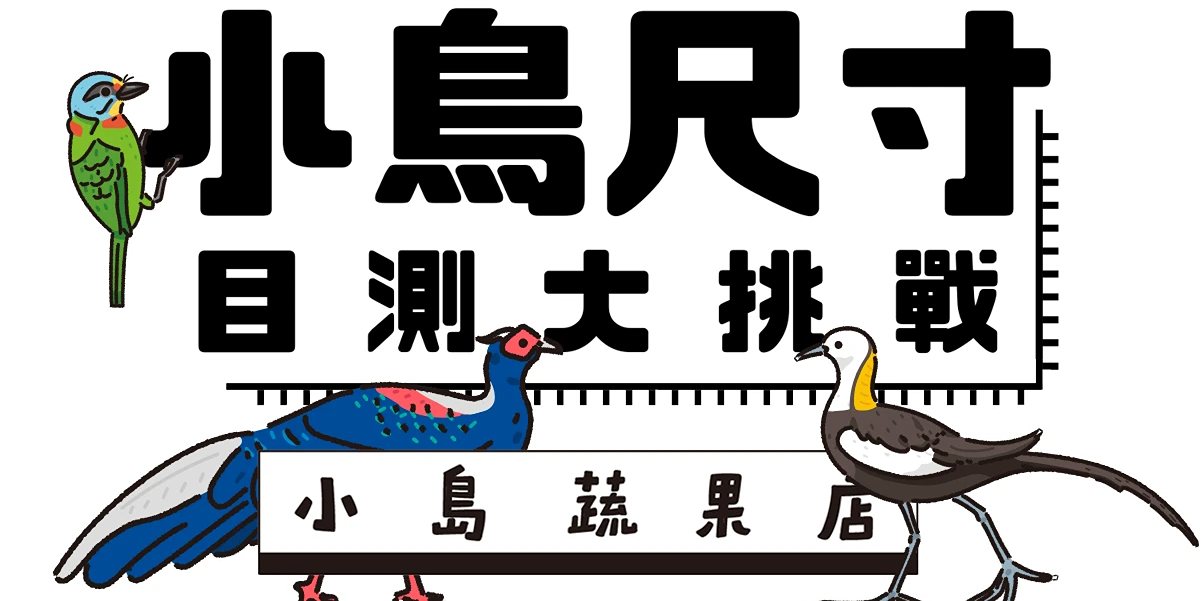 島民集合 Hello Islander 小鳥尺寸目測大挑戰 - 蔬果攤