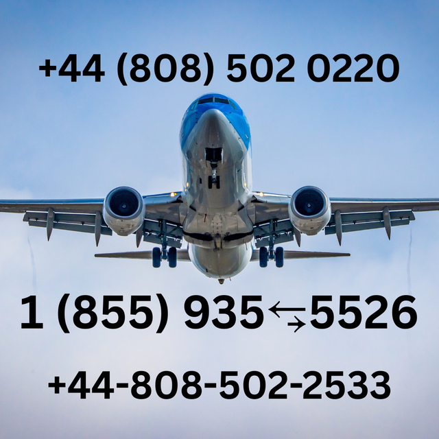 41 Ways to Contact: How Do I Talk to Someone at Alaska Airlines – Complete Guide 