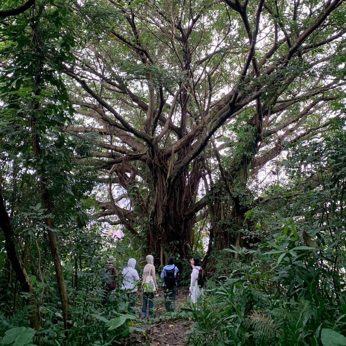 靈魂映像 / 韓芮湘