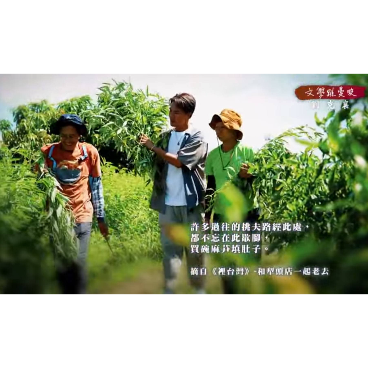 阿雞