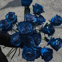 原點花藝設計 Yuan's Flower 普魯士藍玫瑰