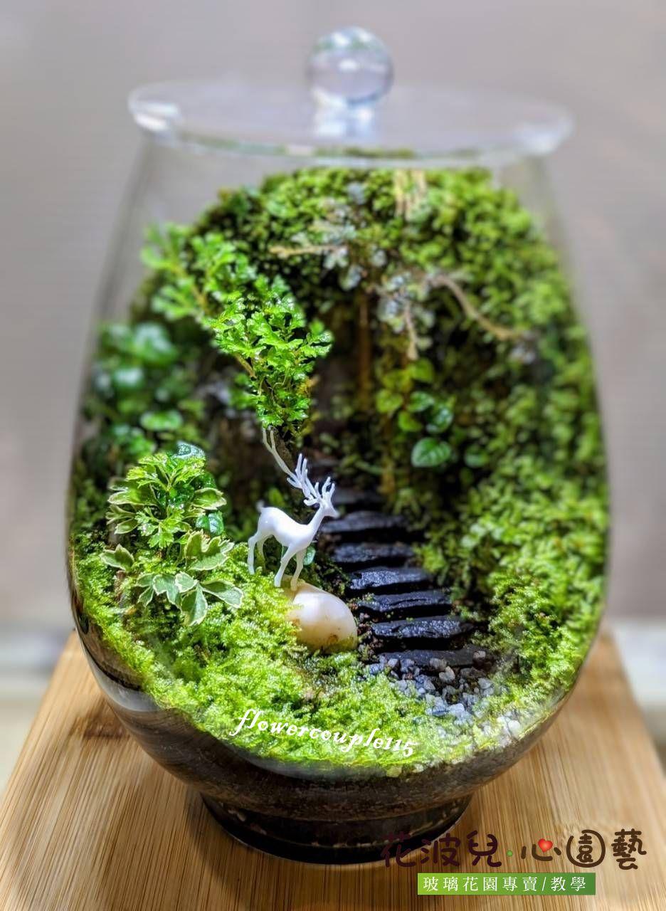 花波兒‧心園藝 花波兒心園藝,台南,送禮,升遷,新居落成,開幕,升遷,調任,生日,財位,交換禮物,玻璃花園,瓶中花園,生態瓶,園藝,手作,Terrarium,Tainan