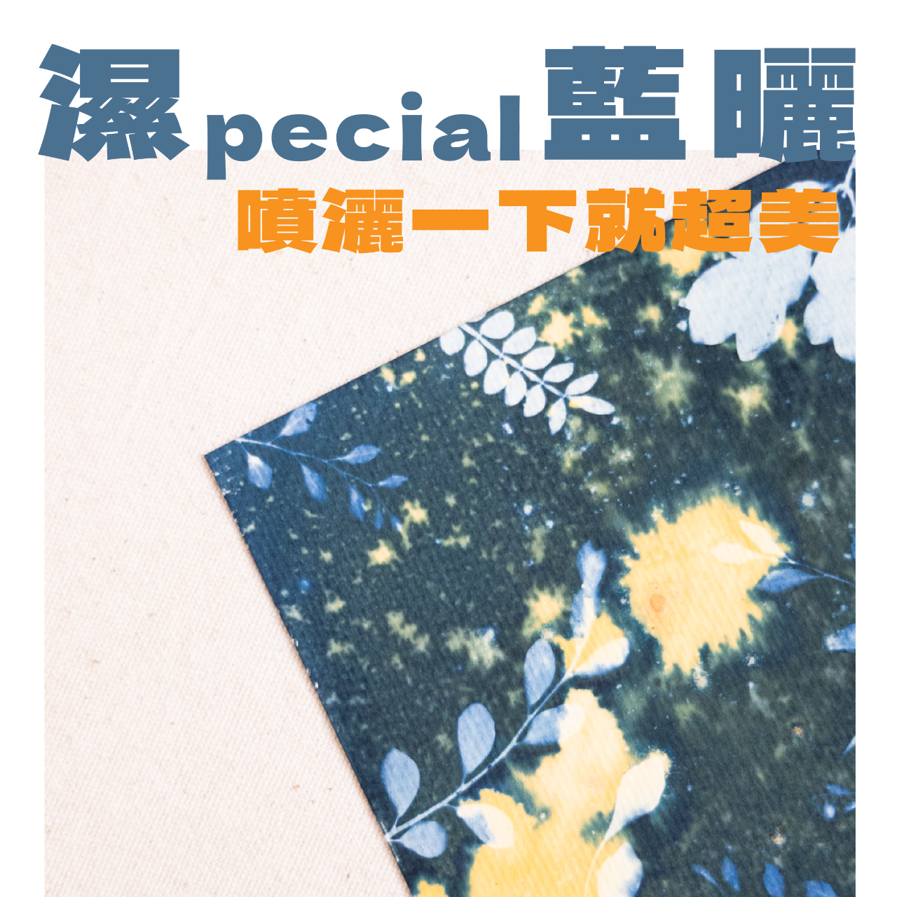 芭辣