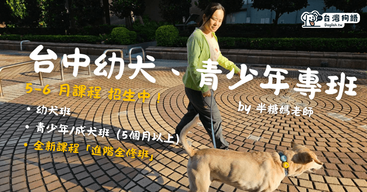 台灣狗語 Doglish.tw 台中團體班，四五月開課！