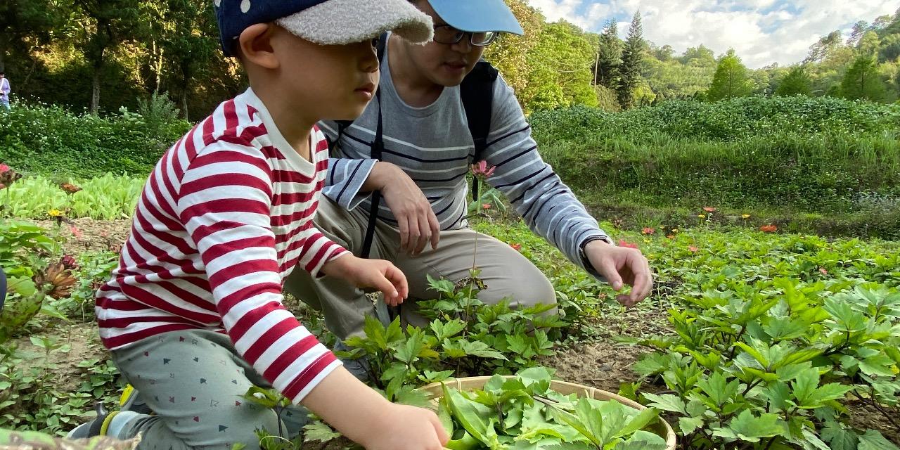 大地農場 農樂共享