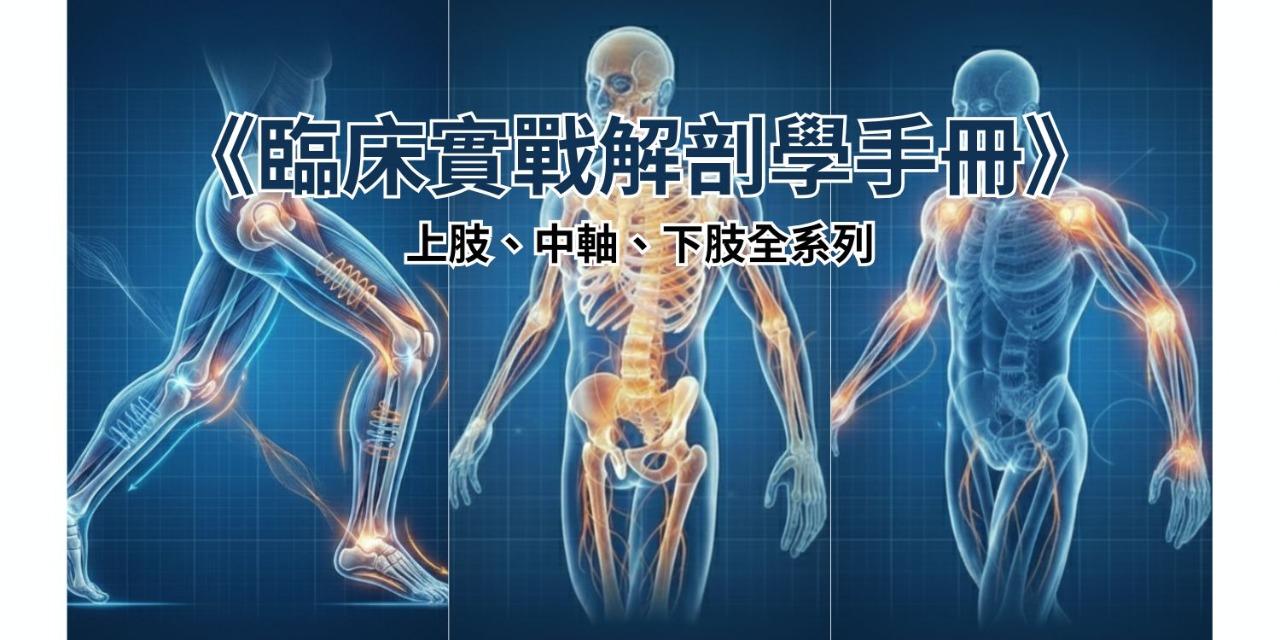 「2026 最新版｜臨床最高標準」