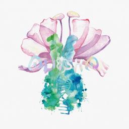 Nate Wang 王冠超 《Aliisha》双子神殿失われたワールド オリジナルサウンドトラック