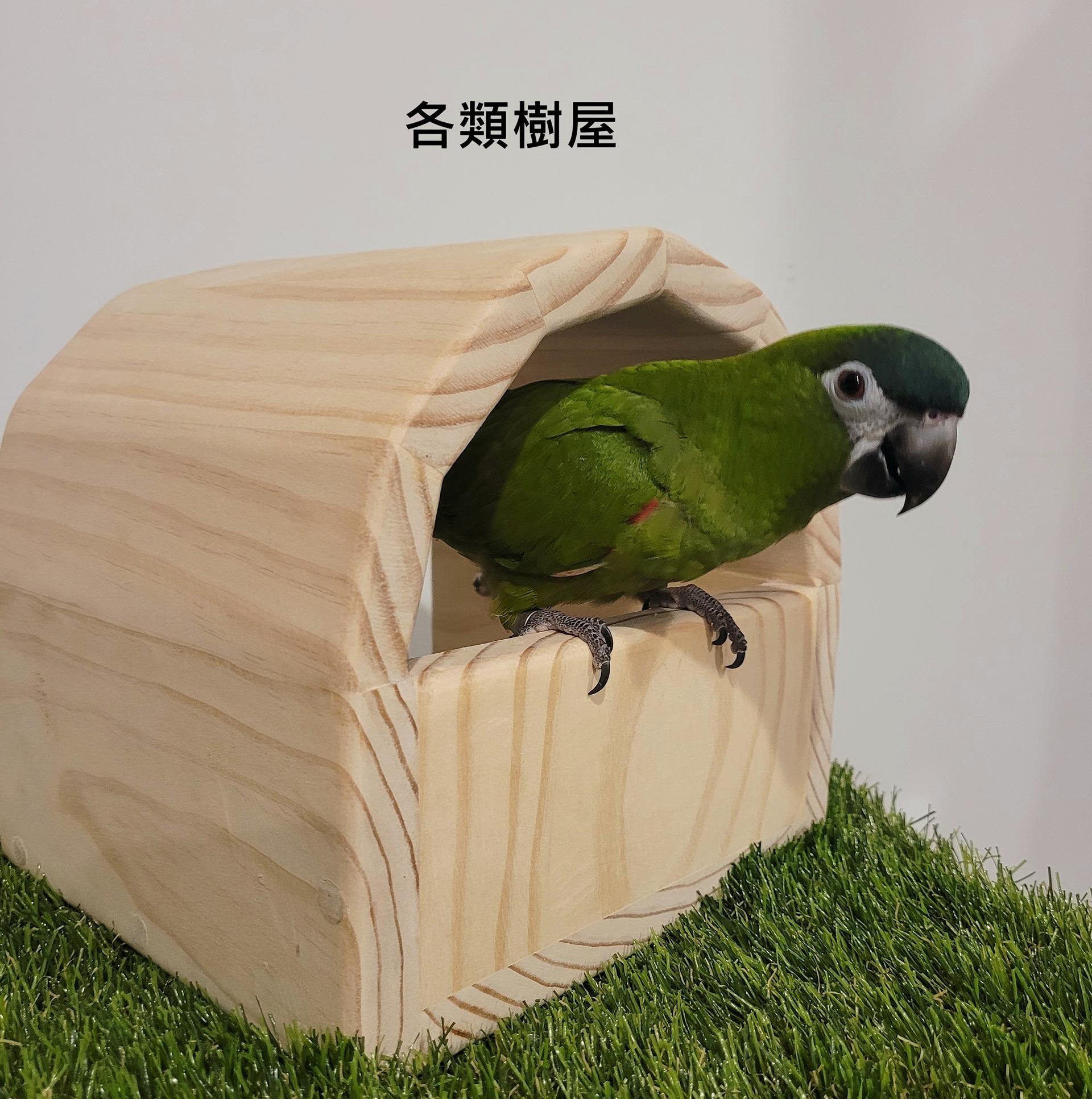 魚雁木坊│鸚鵡寄宿x站台玩具