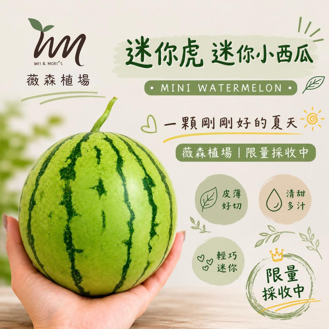 薇森植場