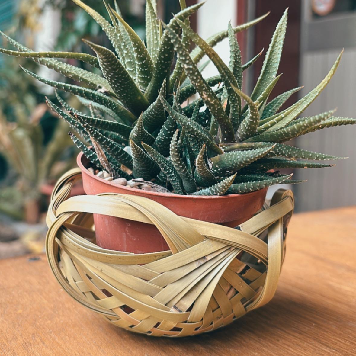 橫山好室｜地方文創工作室 四海波花籠