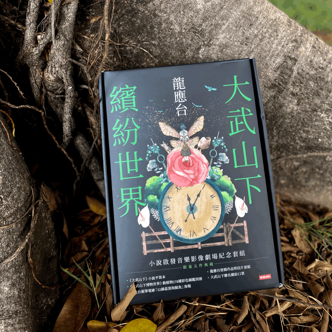 龍應台書房