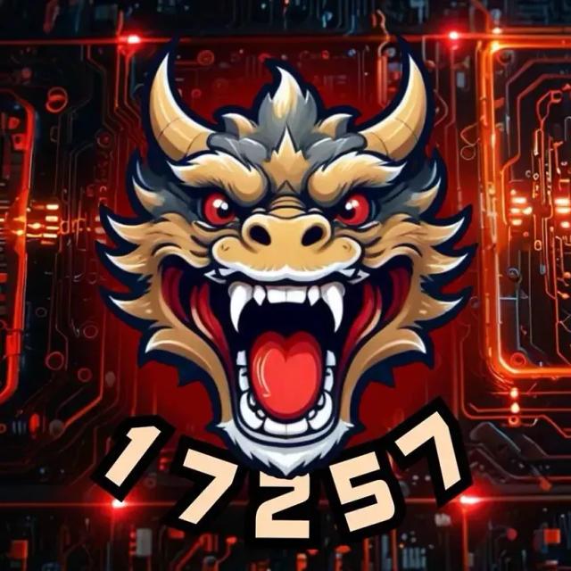 FTC17257 台灣機器人代表隊
