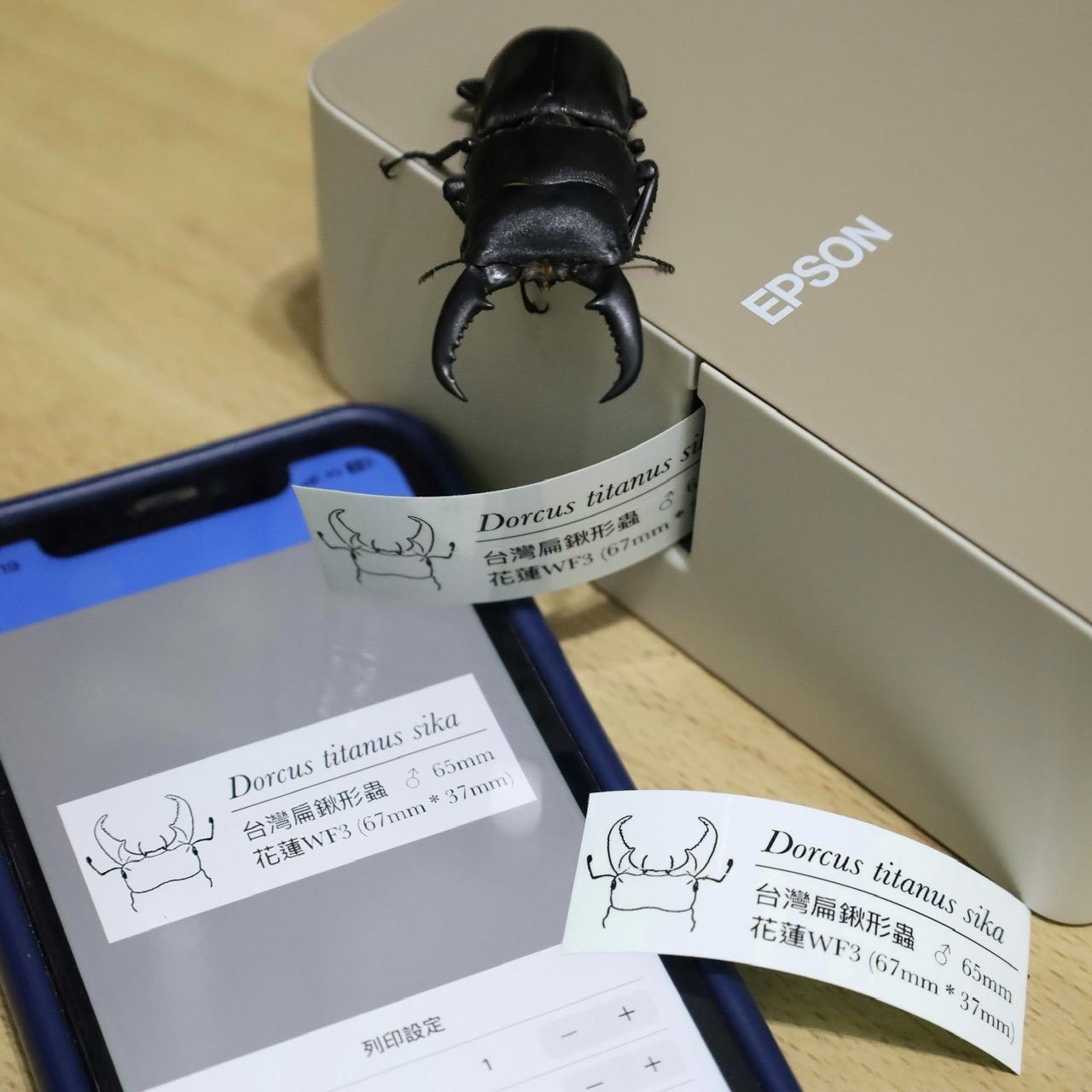 THY 合作案例：EPSON（台灣愛普生）