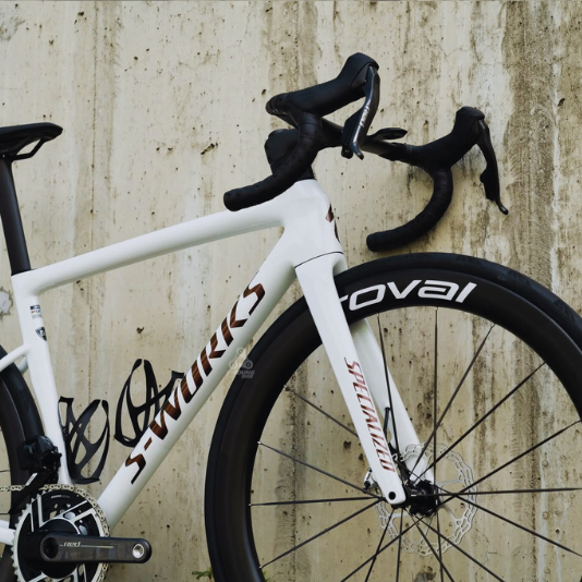 巡揚單車 2025-2026 新車新色這邊挑