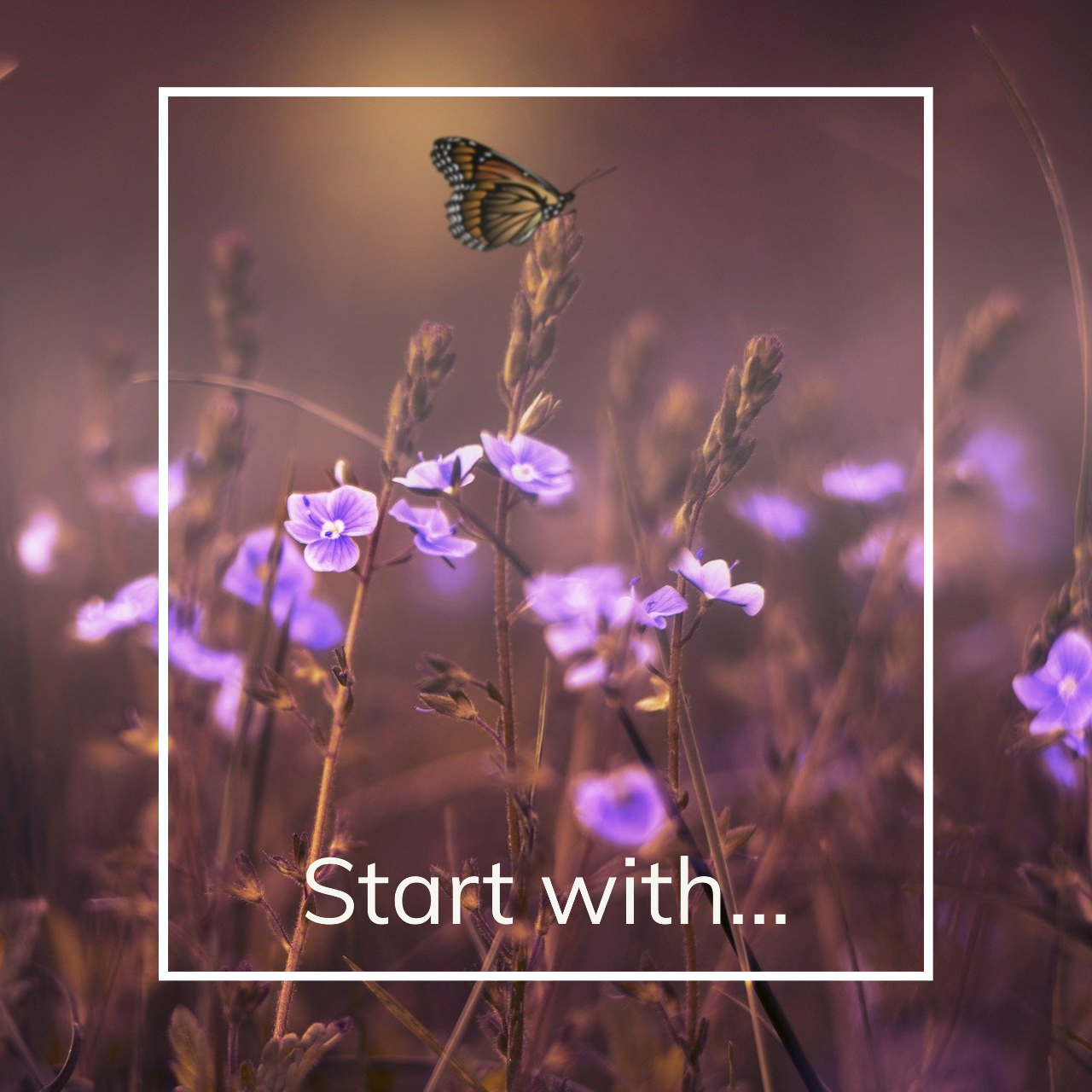 papillondoux品牌小故事